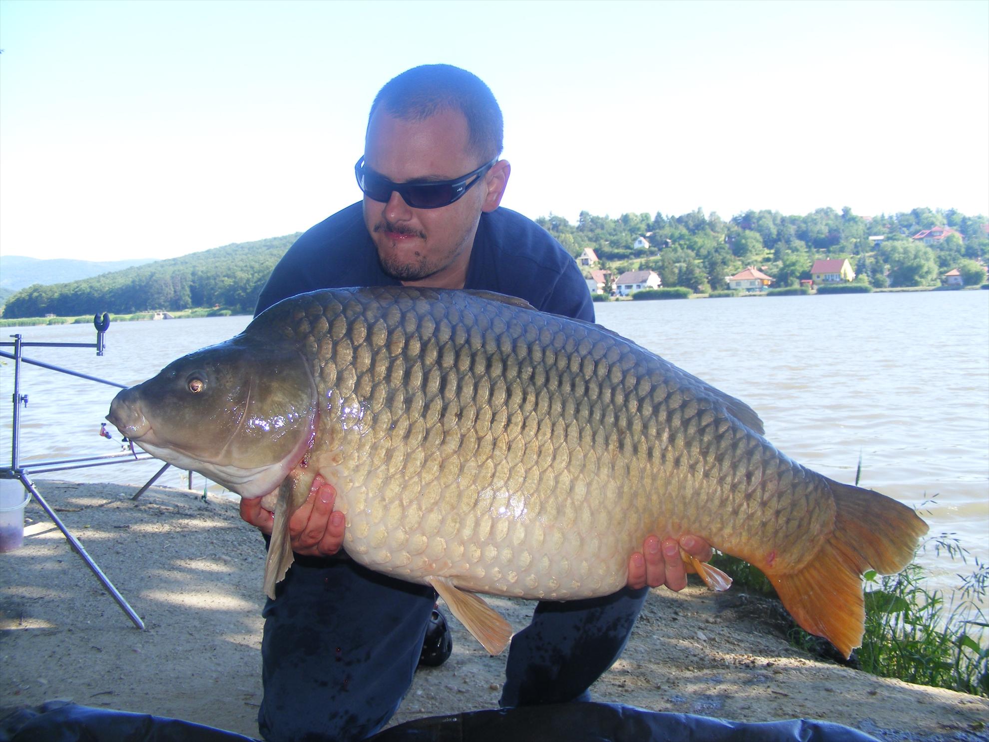 Harsanyi 2013 - dscf6321.JPG